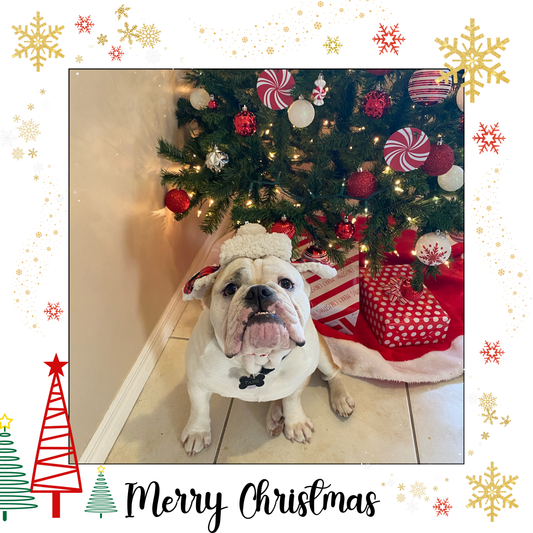 Christmas-Snowflakes